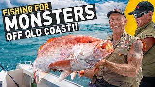  HUGE crabs and MONSTER fish (Queensland coast, Australia)