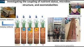 Exploring the chemistry of rhizosphere microbiomes |  2021 EMSL User Meeting