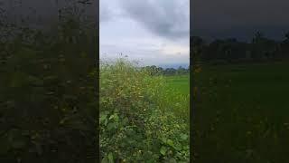 Subhan Allah