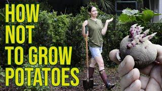 How Not To Grow Potatoes  - No Dig Method Using Wood Chips