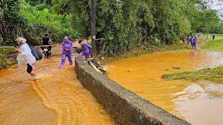 Tin Nóng nhất đường tắt Km51 QL2 Bắc Quang Hà Giang khênh quà khệ Nệ. Nguyễn Tất Thắng