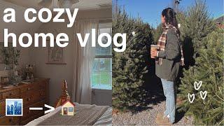 a cozy week (ish) at home | thanksgiving, thrifting, family time