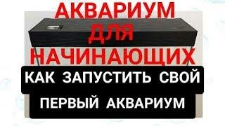 Аквариум для начинающих. Как запустить свой первый аквариум. Аквариум на 60 литров.