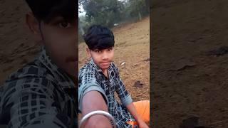 AAJ JANGAL ME KYA MILL GYA  #shorts #trending #minivlog