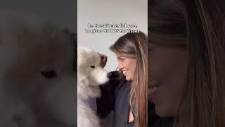 Things that make him BOOMER | Part 2, should I make one more video? #dog #fluffy
