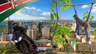 Exploring Nairobi: A Neighbourhood  Ride and  Wild Monkey Encounter || Nairobi 