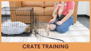 Crate Training [Video 12/14]