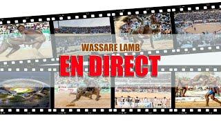 Wassare Lamb En Direct