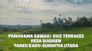 PANORAMA INDAH SAWAH RICE TERRACES DI DESA SUGIHEN TANAH KARO SUMATERA UTARA