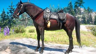 CABALLO DE SANGRE | RED DEAD REDEMPTION 2