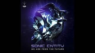 Sonic Entity - We Are from the Future