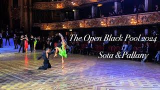 【New Couple】Sota &Pallany. TheOpen BlackPool Pasodoble
