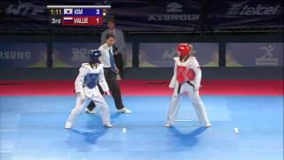 2013 WTF World Taekwondo Championships Final | Female -46kg