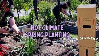 What i'm Planting in my Edible Gardens ~ Perth, Australia + Rare Plant Unboxing!