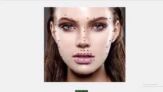 Webtunix Facial Landmark Detection Demo | +91-7973788405 for query| Commercial solution