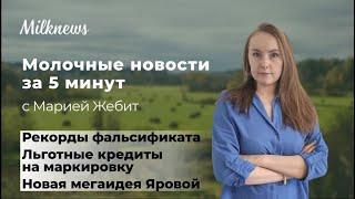 Молочные новости за 5 минут: рекорды фальсификата, льготные кредиты на маркировку и мегаидея Яровой