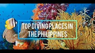 Top Diving Spots In the Philippines