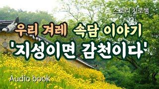 우리 겨레 속담 이야기 | 지성이면 감천이다 | 설화 | 민담 | 지혜와 깨달음의 고전 이야기 | 구연동화 | 전래동화 | 오디오북 | 책 읽어주는 여자 asmr