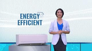 Carrier Aircon Feature: Crystal Inverter