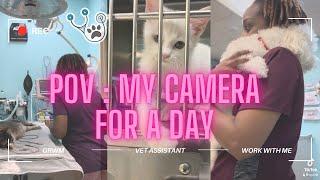 POV : My camera for a day as a Veterinary Assistant