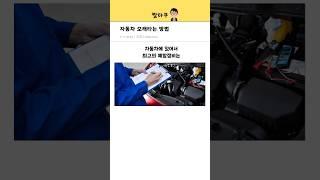 자동차 오래타는 방법