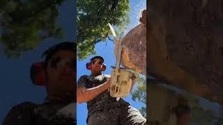 Wild man chainsaw carving an eagle #woodworking #chainsawcarving #tree #wood #art #chainsaw #diy