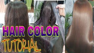HAIR COLOR TUTORIAL FOR BEGGINERS