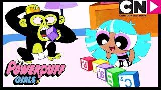 Die Powerpuff Girls Deutsch | Perfekte, kleine Bliss | Cartoon Network