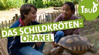 Sam und Sammy (Folge 124) | Tiere bis unters Dach