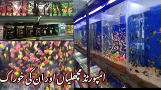 lalukhet aquarium and fish shop visit| fish and aquarium market| lalukhet fish market|