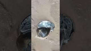 Amazing Perfect Restore Casting Copper Snail out of Scrap #shorts #viralvideo #reels #restoration