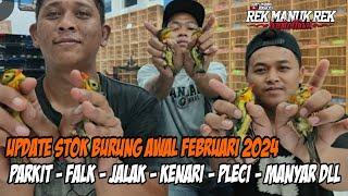 Update Stok Burung - Parkit - FaLk - Jalak - Kenari - Pleci - Manyar dll