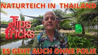 NATURTEICH IN THAILAND - SAUBERES WASSER TROTZ FISCHBESATZ