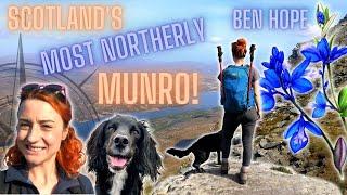 SCOTLAND’S MOST NORTHERLY MUNRO! Walking Up Ben Hope + Painting a Wildflower In Watercolour - Ep19