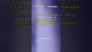 Любовь к Пророку — основа веры.
