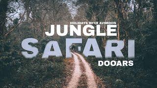 DOOARS JUNGLE SAFARI। GORUMARA  NATIONAL PARK JEEP SAFARI। MORNING JUNGLE SAFARI IN GOURUMARA FOREST