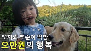 오만원으로 육회랑 소고기 그리고 야채 먹방하는 리트리버와 말티즈