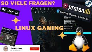 Das Linux Gaming Thema- so viele Fragen - ein Teufelswerk