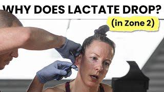 Understand this STRANGE Reaction with Lactate at Low Intensity