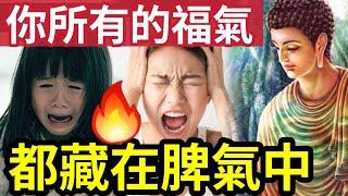 #佛禪 不知道後悔！脾氣/運氣/福氣的重要關系！你是甚麽脾氣，就有甚麼命運。做人「收得住脾氣」才能留下福氣...否則...