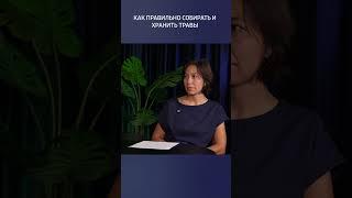 Где покупать травы #фитотерапия