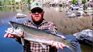 Huge Wild Rainbow Trout Caught @ Pleasant Valley Reservoir Bishop,CA!!