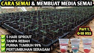  CARA SEMAI & MEMBUAT MEDIA SEMAI CABE, TOMAT, MELON, TERONG #petanicabesubang #infopertaniancabe