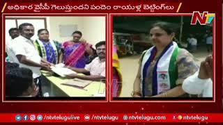 Huge Betting Goes on AP Municipal Elections 2021 | YCP Vs TDP Vs BJP | Ntv