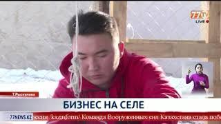 БИЗНЕС НА СЕЛЕ