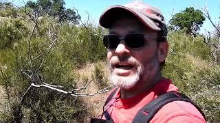 Napa Highlands- Skyline Park's Manzanita Trail