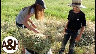 Baling HAY bales without machinery!