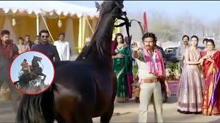 Pawan Kalyan Controlling Wild Horse || Kajal Aggarwal || Ali || Maa Show