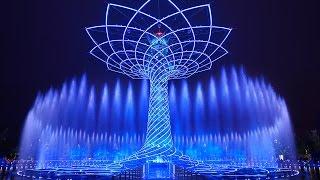 TREE OF LIFE / ALBERO DELLA VITA - EXPO MILANO 2015