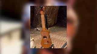 Agrupación musical oaxaqueña pide apoyo para recuperar sus instrumentos robados | Notitrece